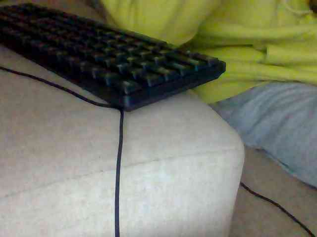 Dollie webcam