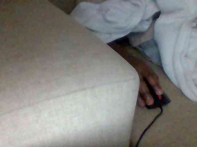 Dollie webcam