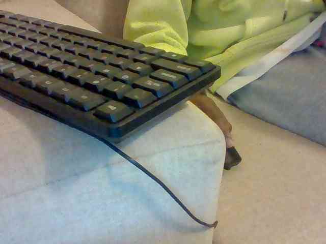 Dollie webcam