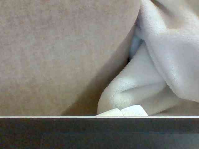 Dollie webcam