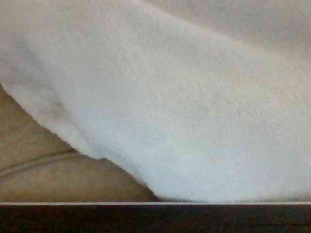 Dollie webcam