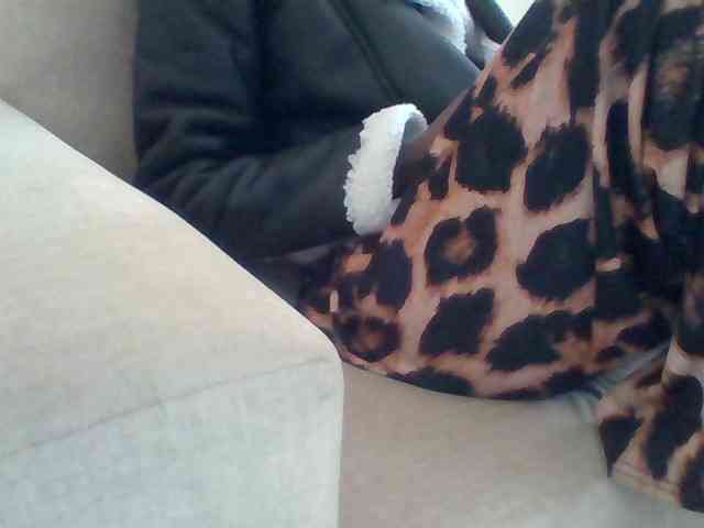 Dollie webcam