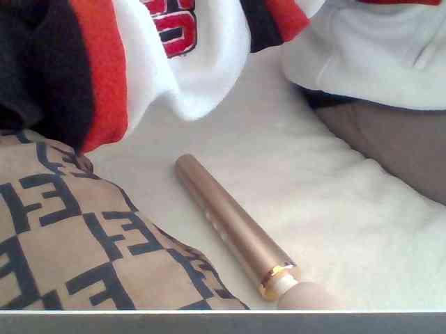 Dollie webcam
