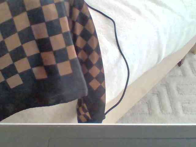 Dollie webcam