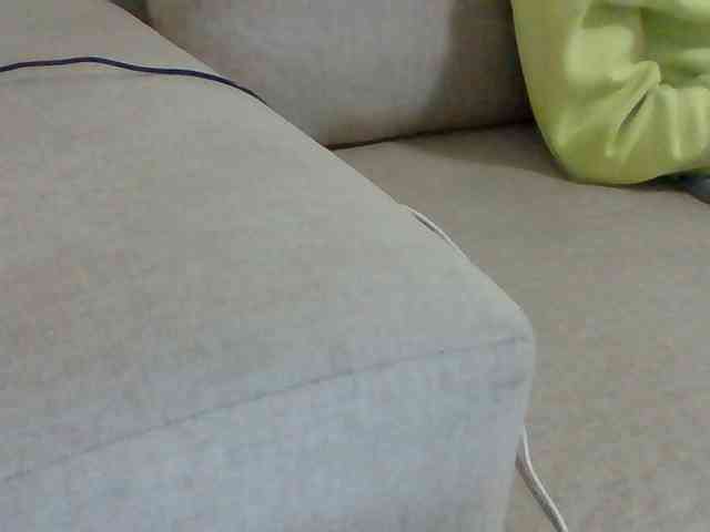 Dollie webcam