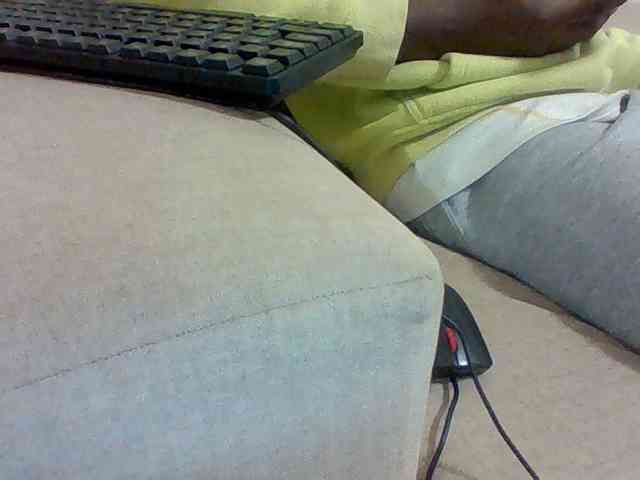 Dollie webcam