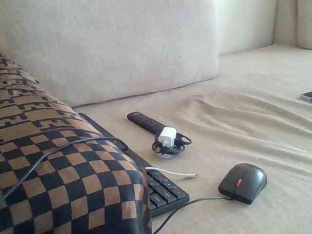 Dollie webcam