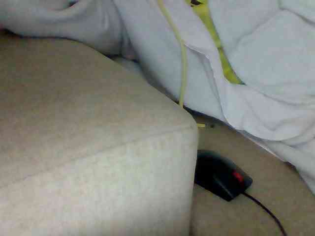 Dollie webcam