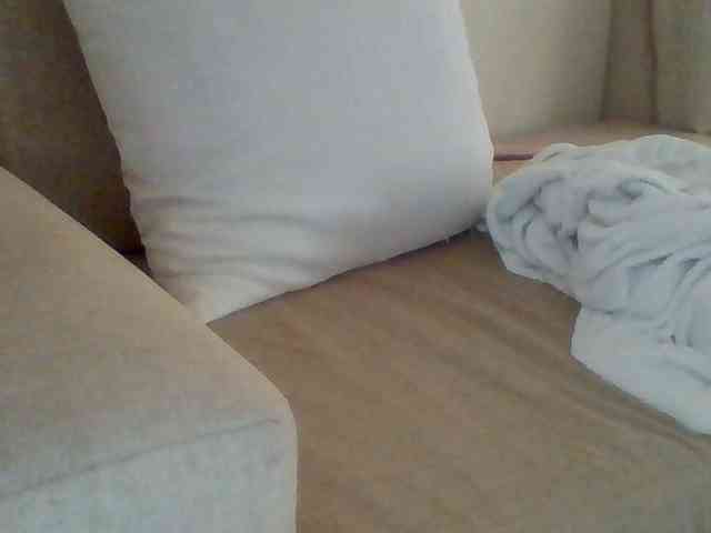Dollie webcam