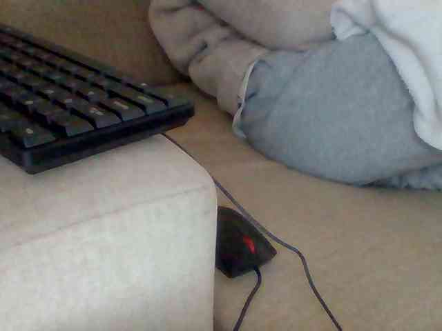 Dollie webcam