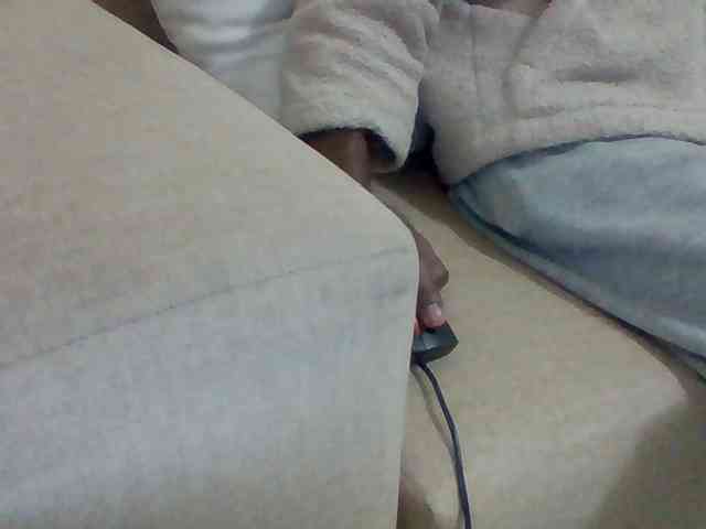 Dollie webcam