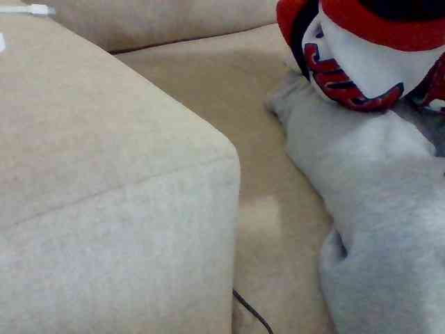 Dollie webcam