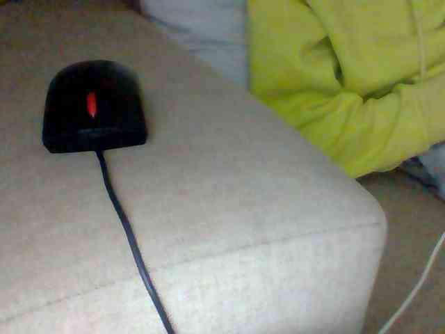 Dollie webcam