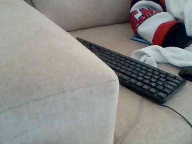 Dollie webcam