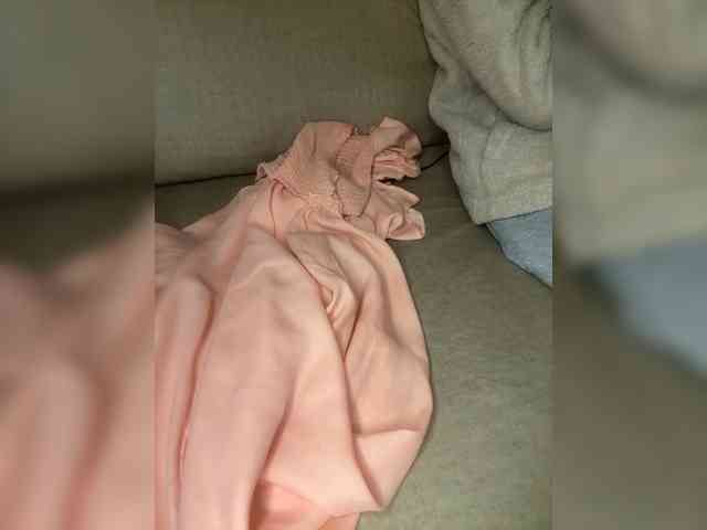 Dollie webcam
