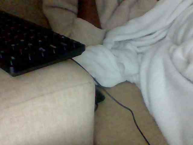 Dollie webcam