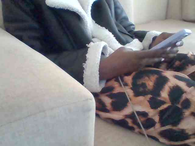 Dollie webcam