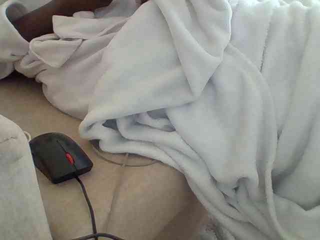 Dollie webcam