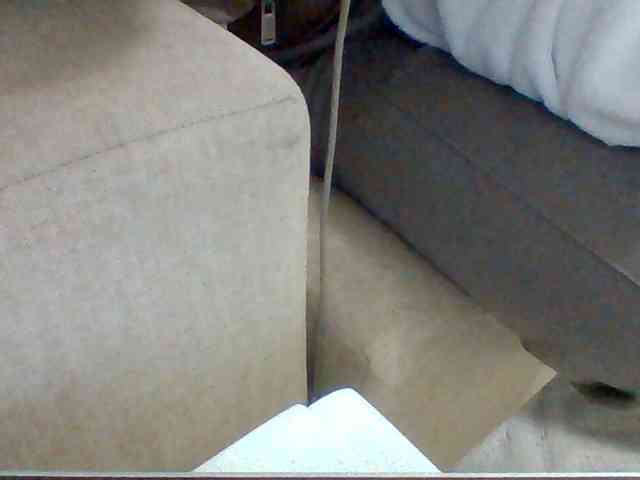 Dollie webcam