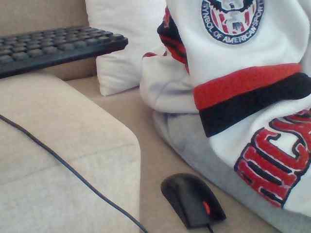 Dollie webcam