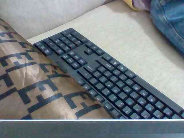 Dollie webcam