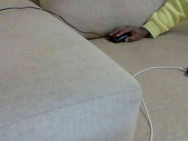 Dollie webcam