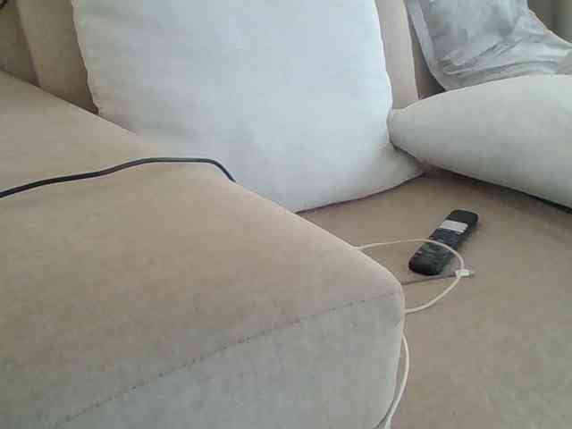 Dollie webcam