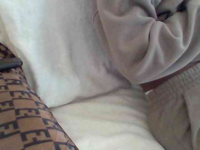 Dollie webcam