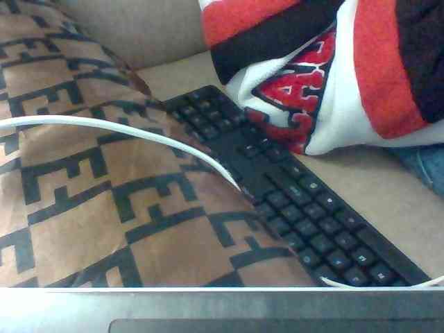 Dollie webcam