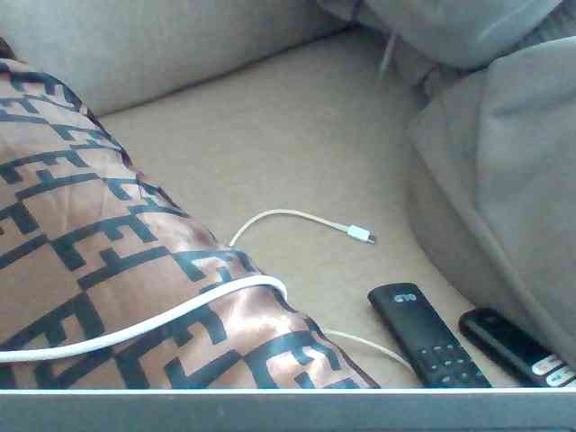Dollie webcam