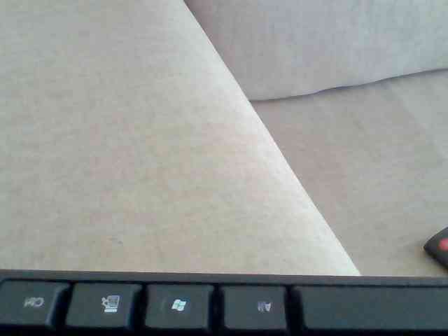 Dollie webcam