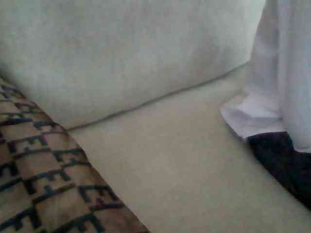 Dollie webcam