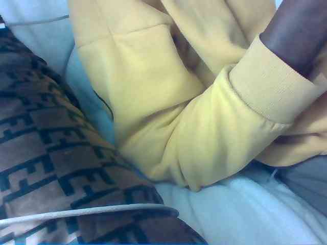 Dollie webcam