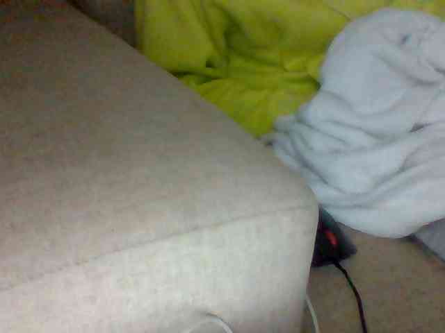 Dollie webcam