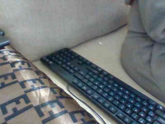 Dollie webcam