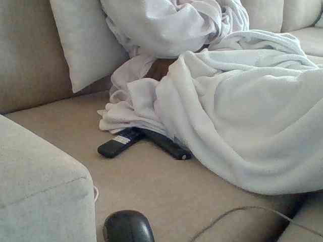 Dollie webcam