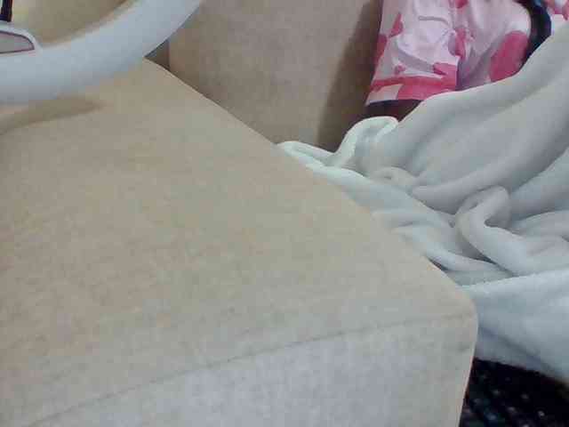 Dollie webcam