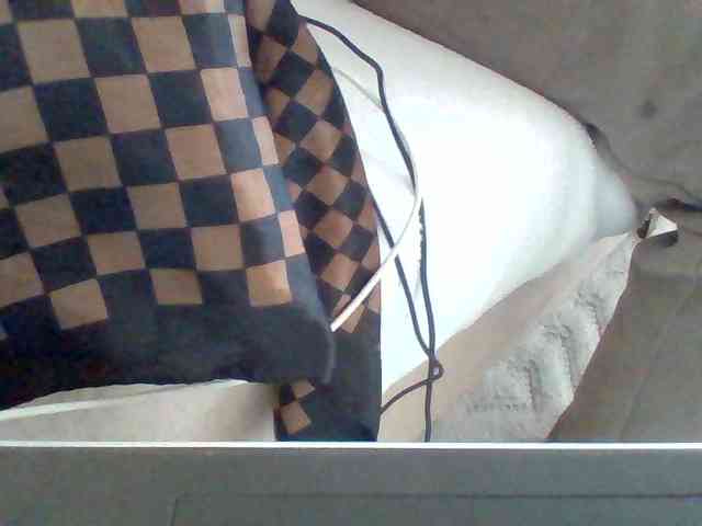 Dollie webcam