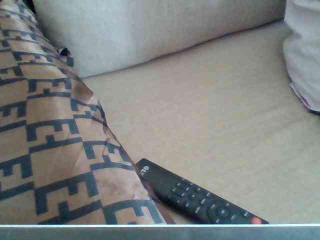 Dollie webcam