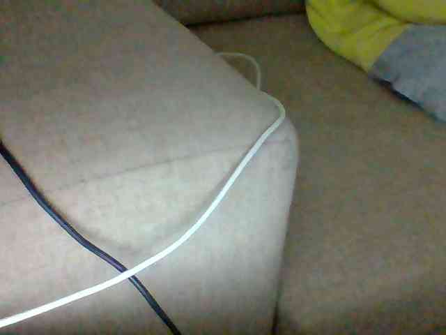 Dollie webcam