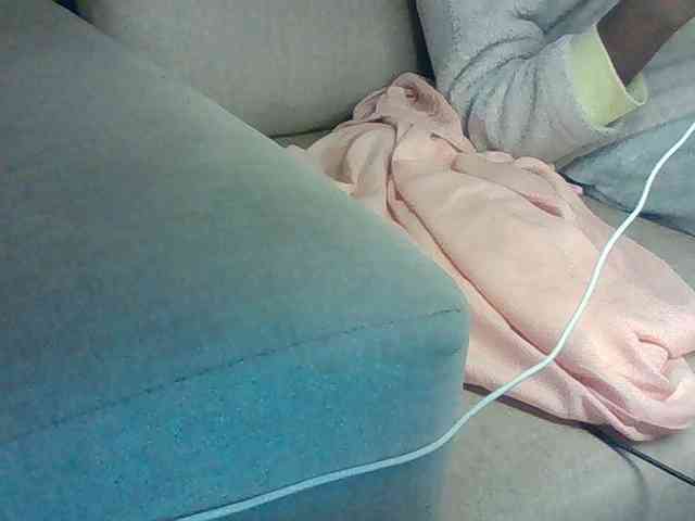 Dollie webcam