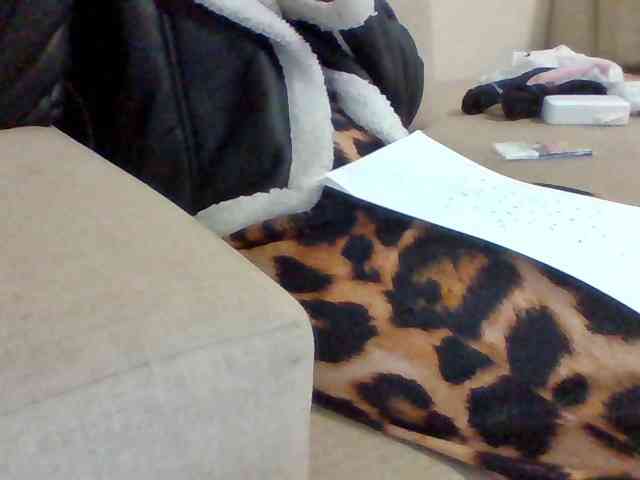 Dollie