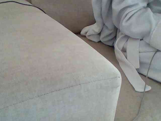 Dollie webcam