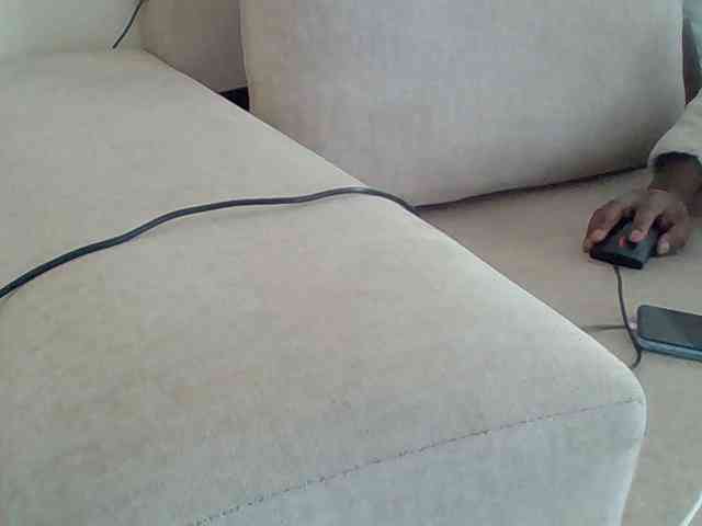 Dollie webcam