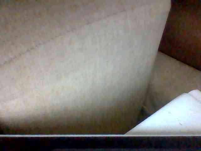 Dollie webcam