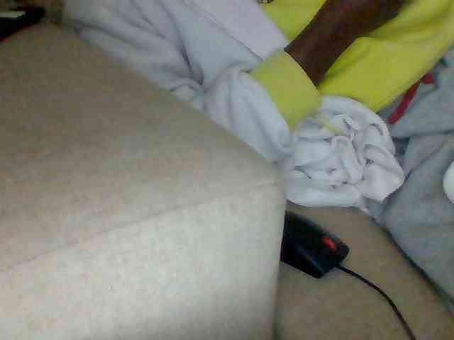 Dollie webcam