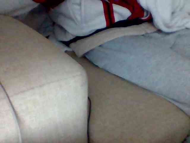 Dollie webcam