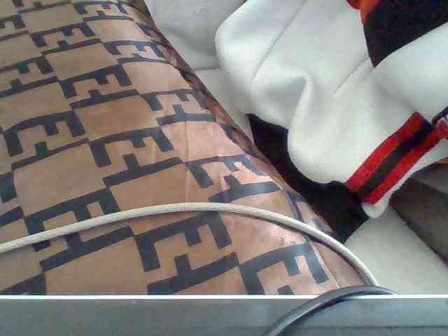 Dollie webcam