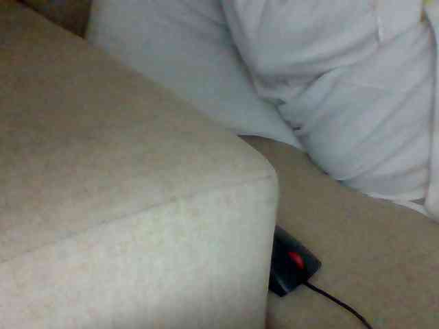 Dollie webcam