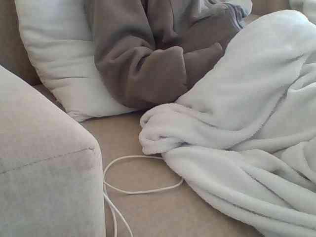 Dollie webcam